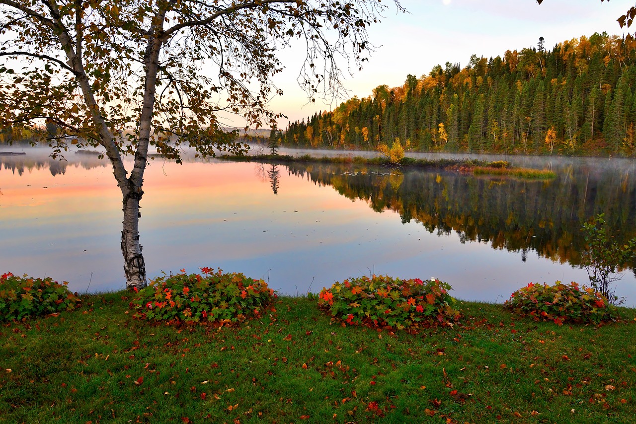 autumn landscape lake trees free photo