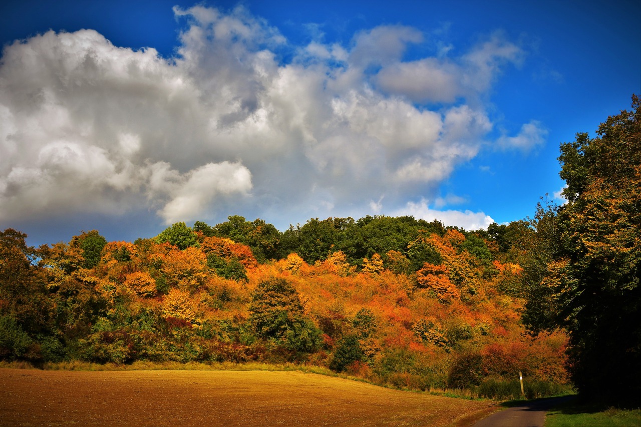 autumn landscape  fall colors free pictures free photo