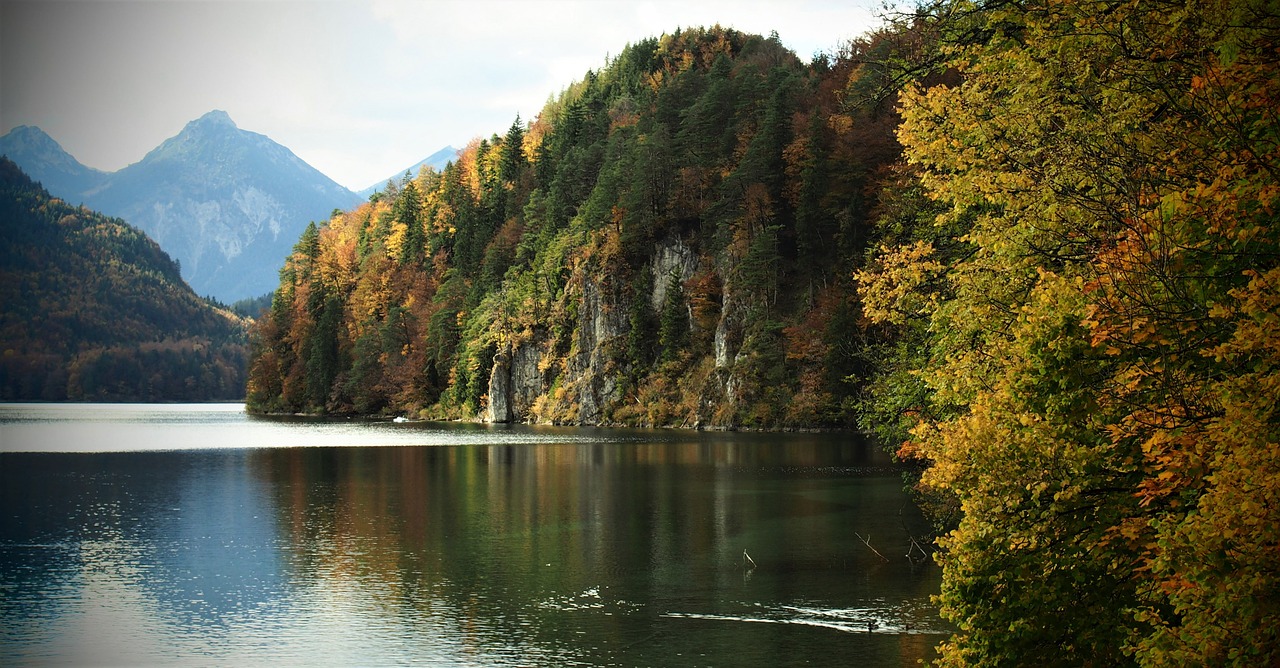 autumn landscape  lake  landscape free photo