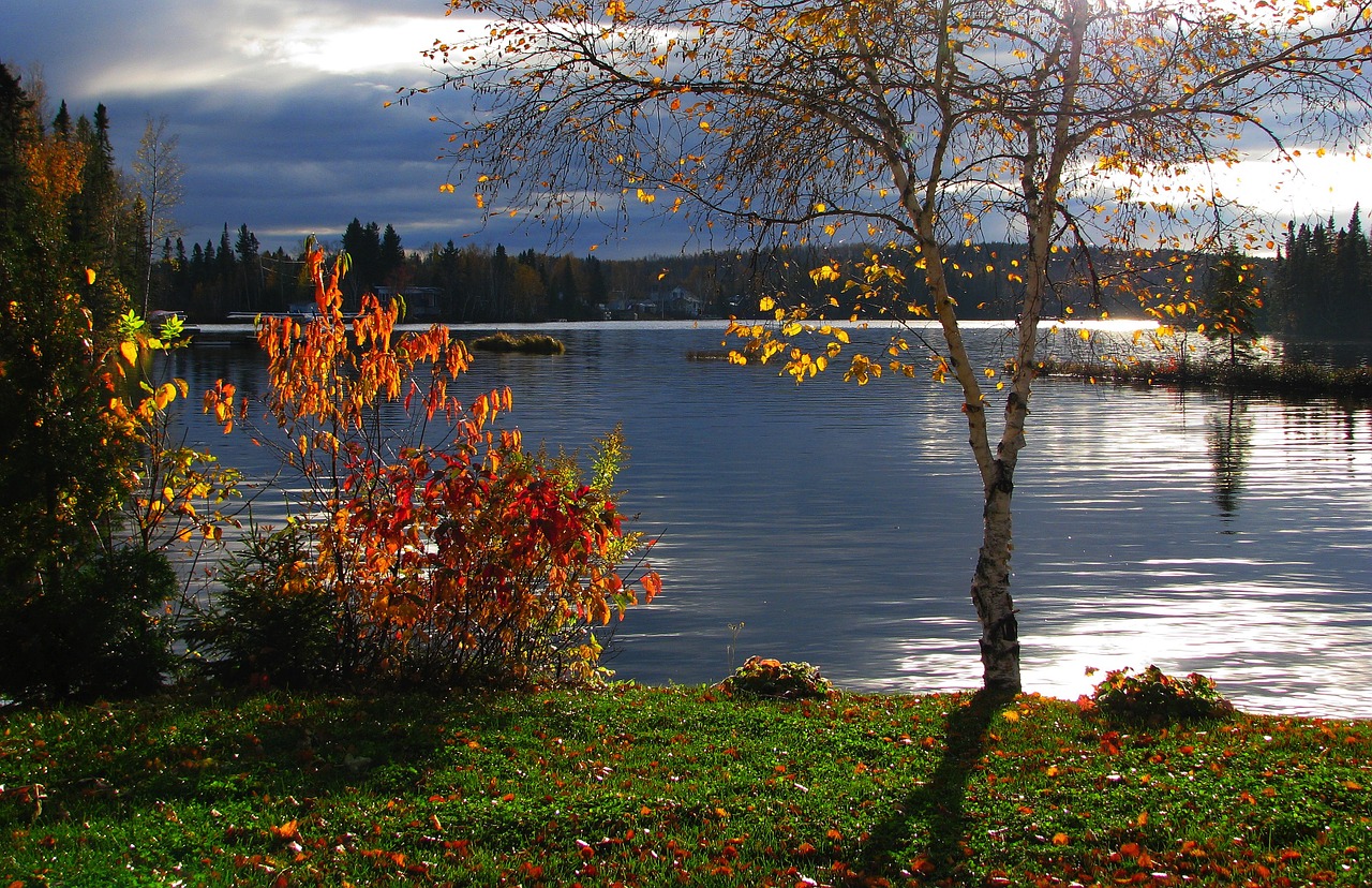 autumn landscape lake water free photo