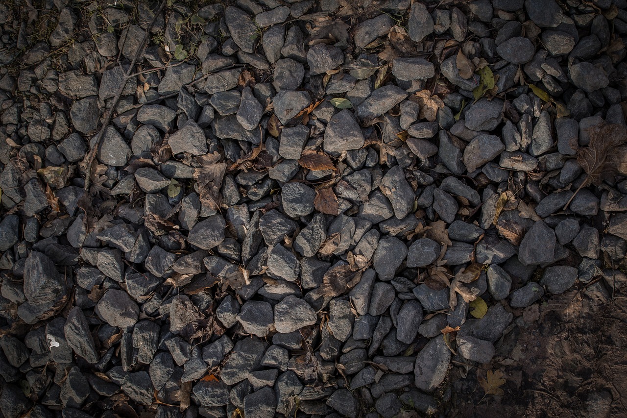 autumn leaf gravel grey free photo