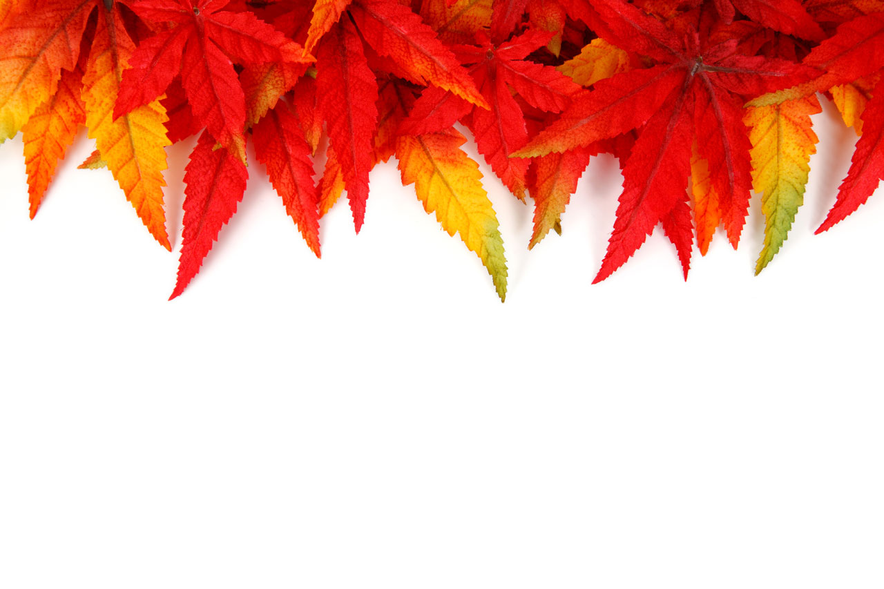 abstract autumn background free photo