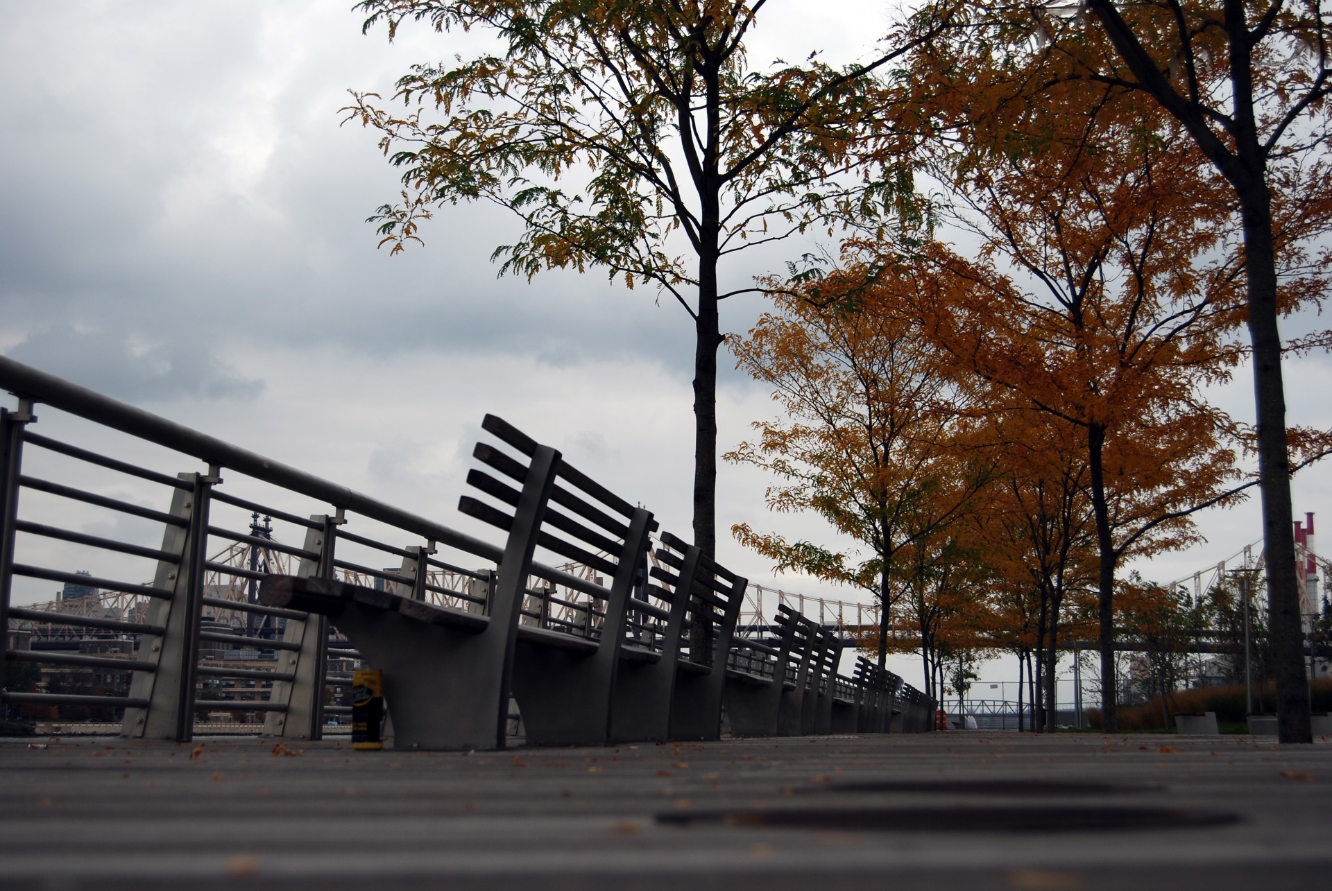 benches trees red leaves free photo