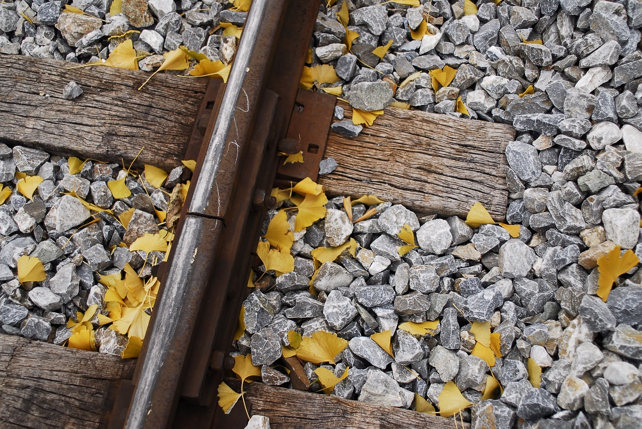 autumn leaves railroad tracks autumn free photo