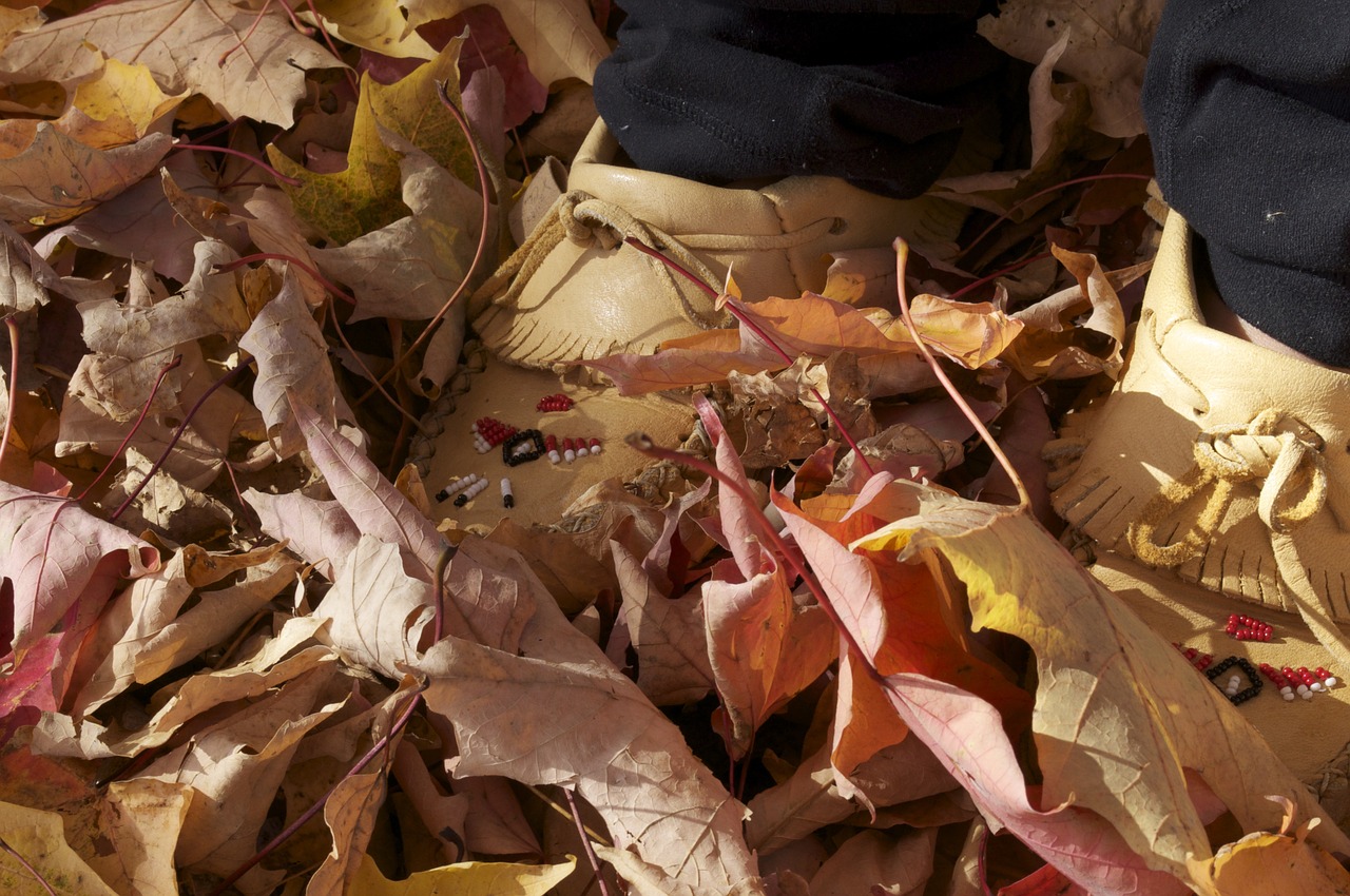 autumn leaves fall leaves background fall leaves free photo