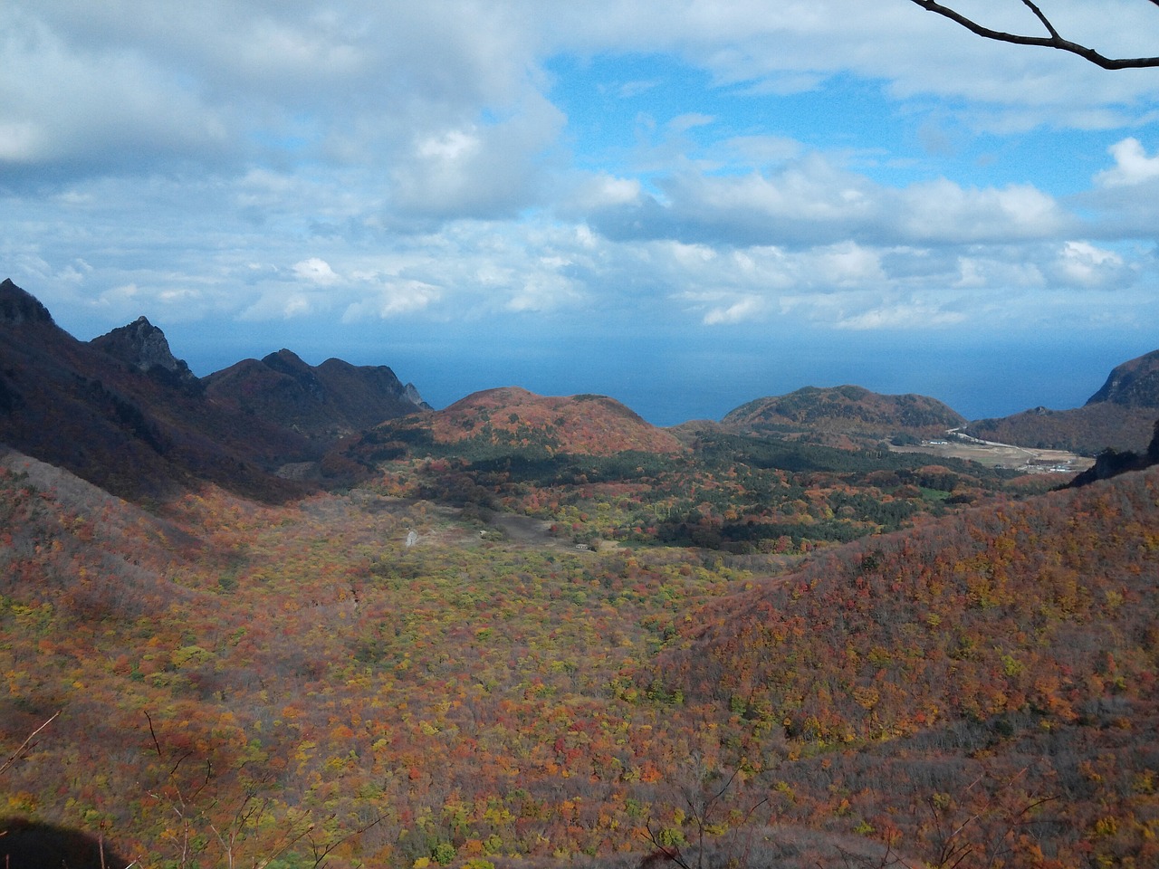 autumn leaves autumn landscape free photo