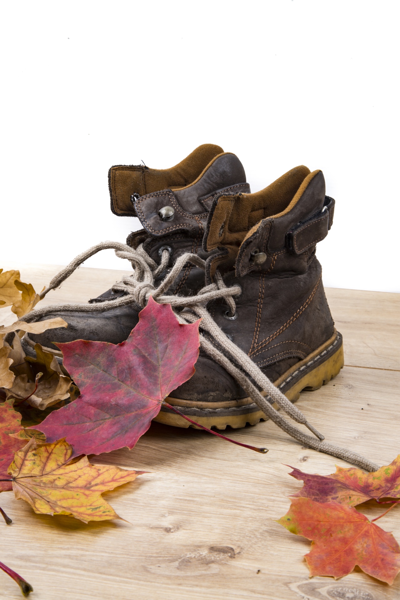 shoe shoes leaves free photo