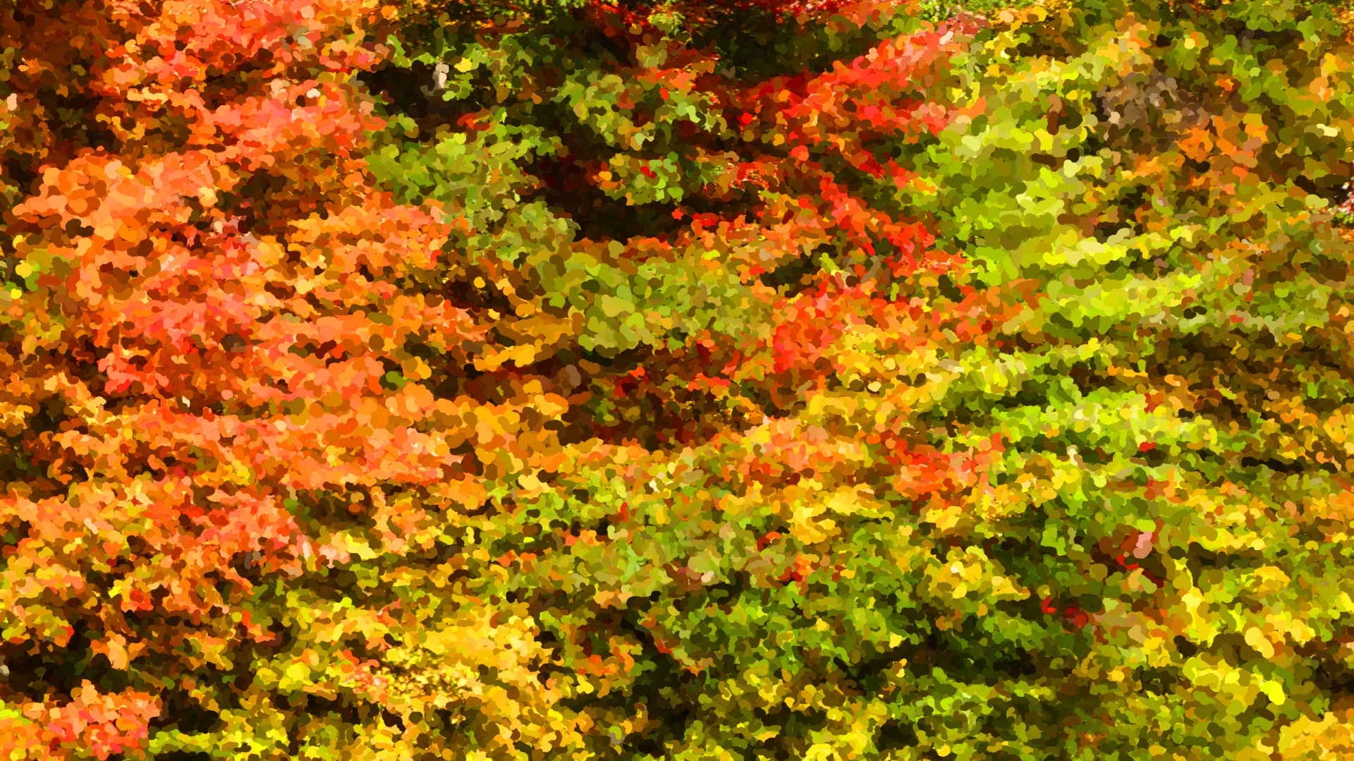 background wallpaper autumn free photo