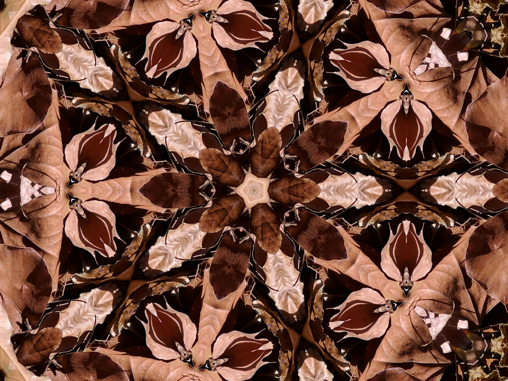 kaleidoscope background wallpaper free photo