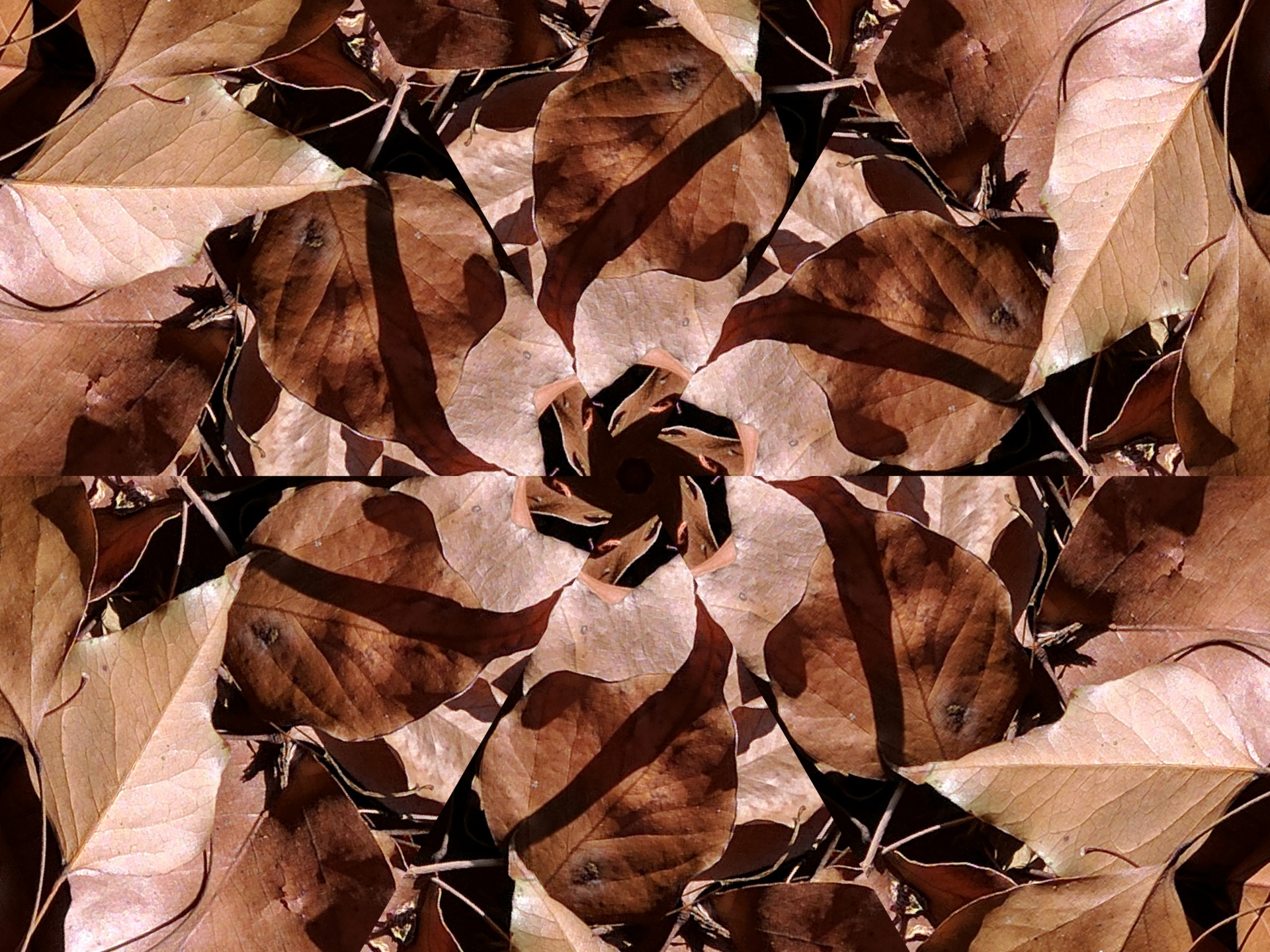 kaleidoscope background wallpaper free photo
