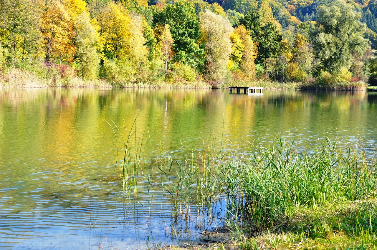 autumn mood farbenpracht lake free photo