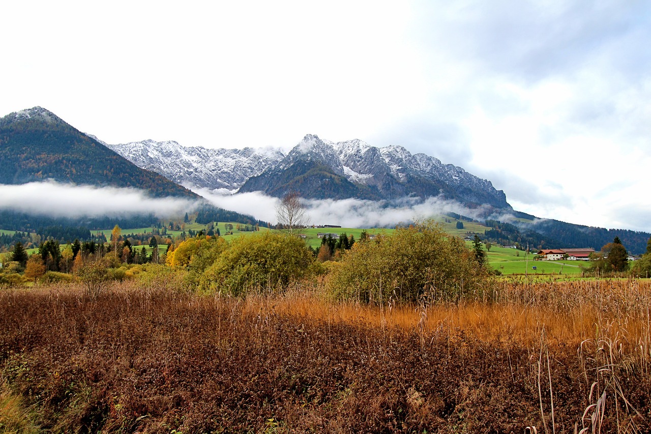 autumn mood colorful nature tyrol free photo