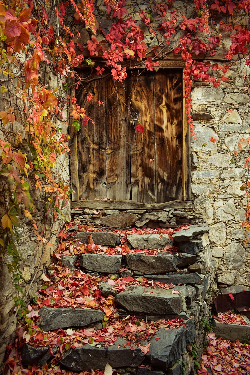 autumn mood  autumn colors  door free photo