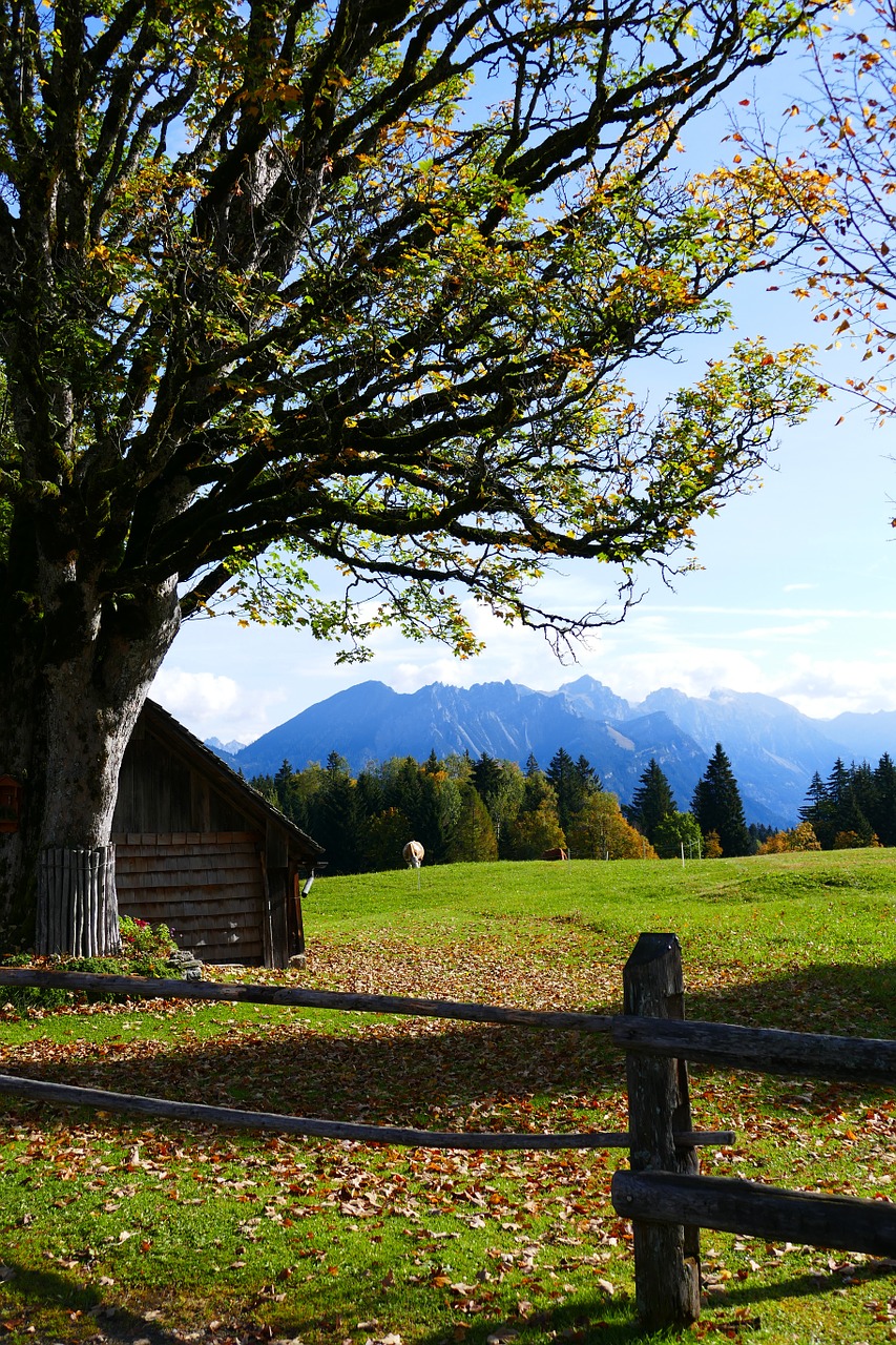 autumn mood mountains autumn free photo