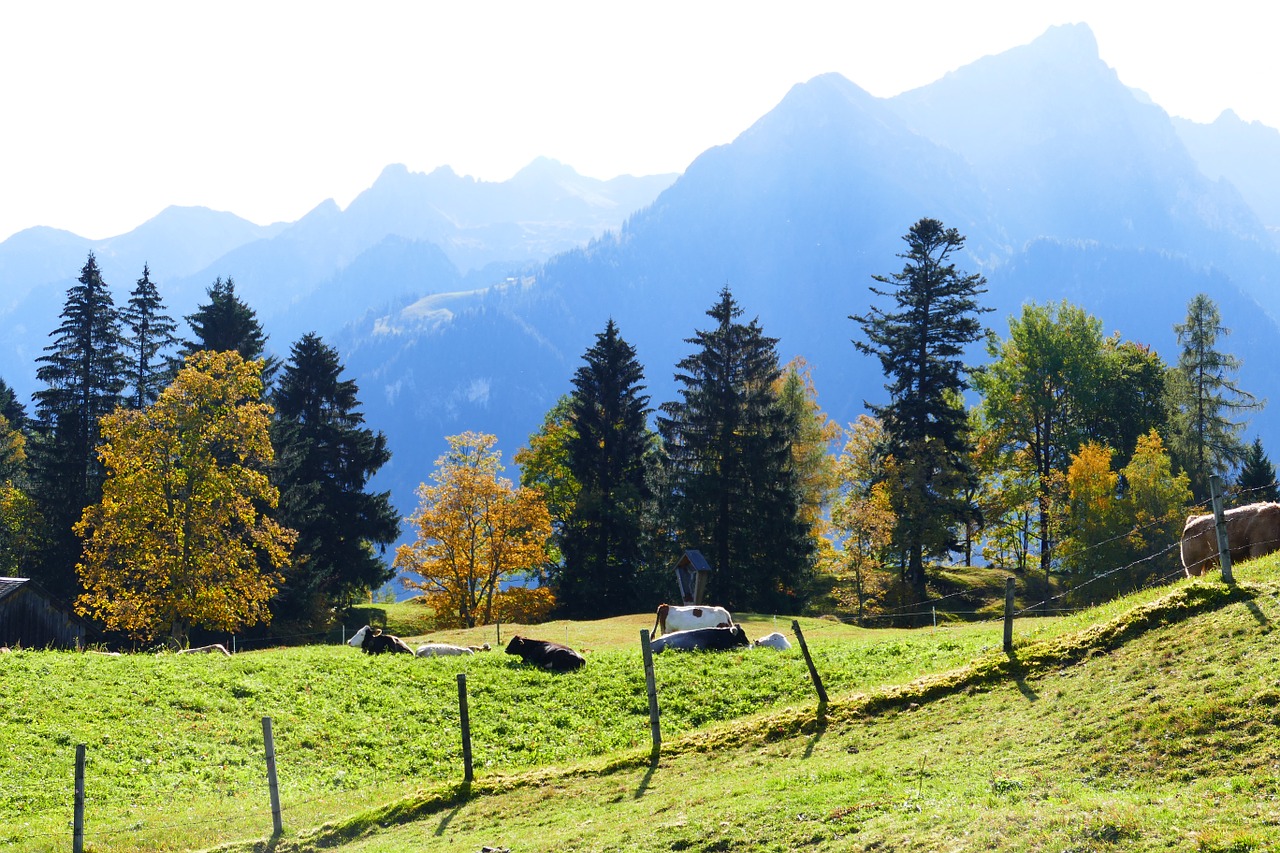 autumn mood mountains autumn free photo