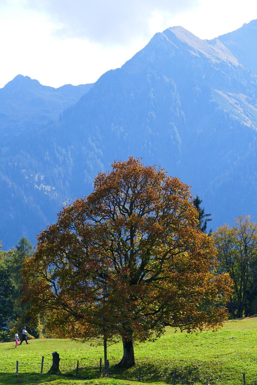 autumn mood mountains autumn free photo