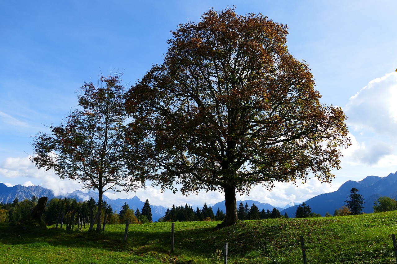 autumn mood mountains autumn free photo