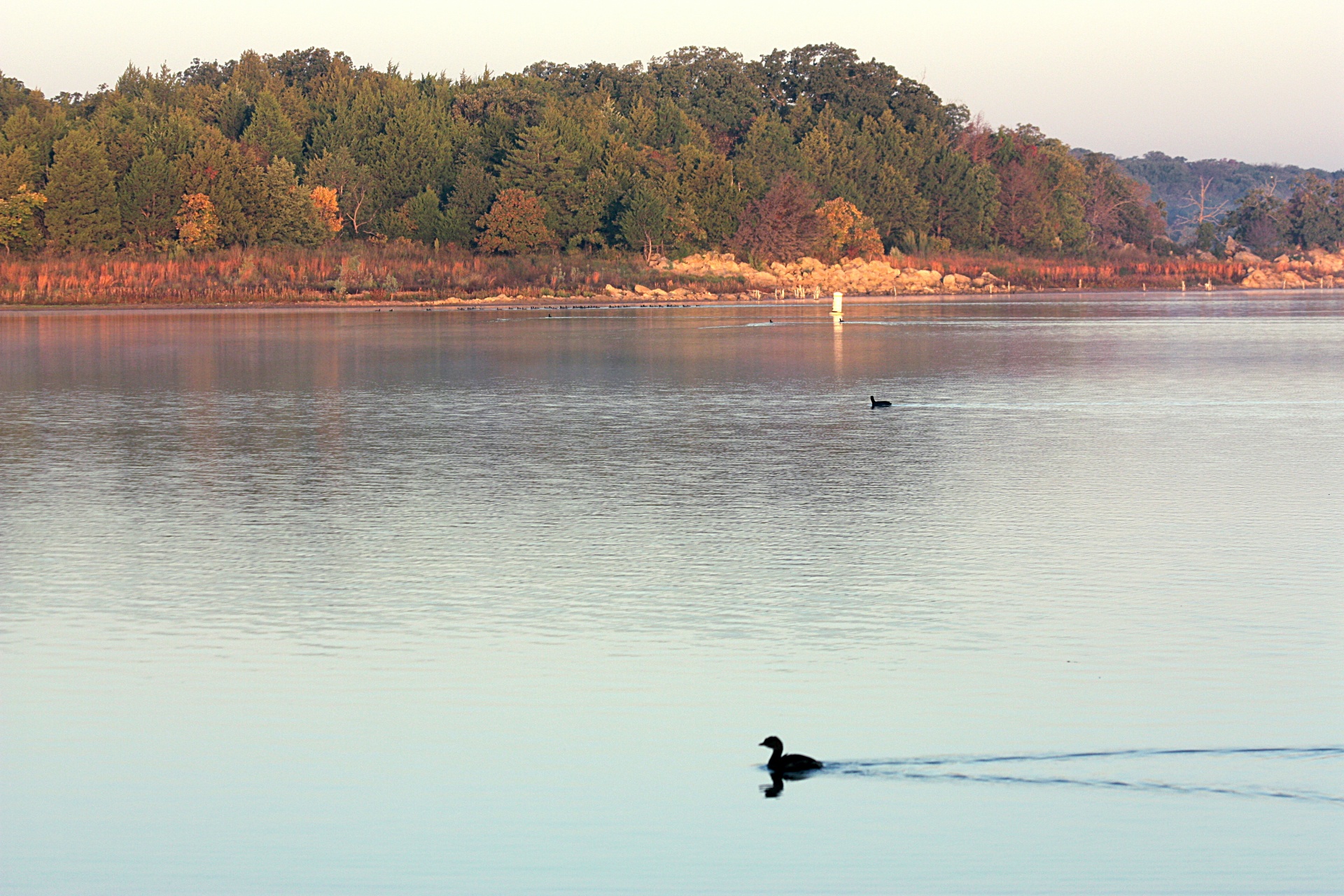 nature landscape water free photo