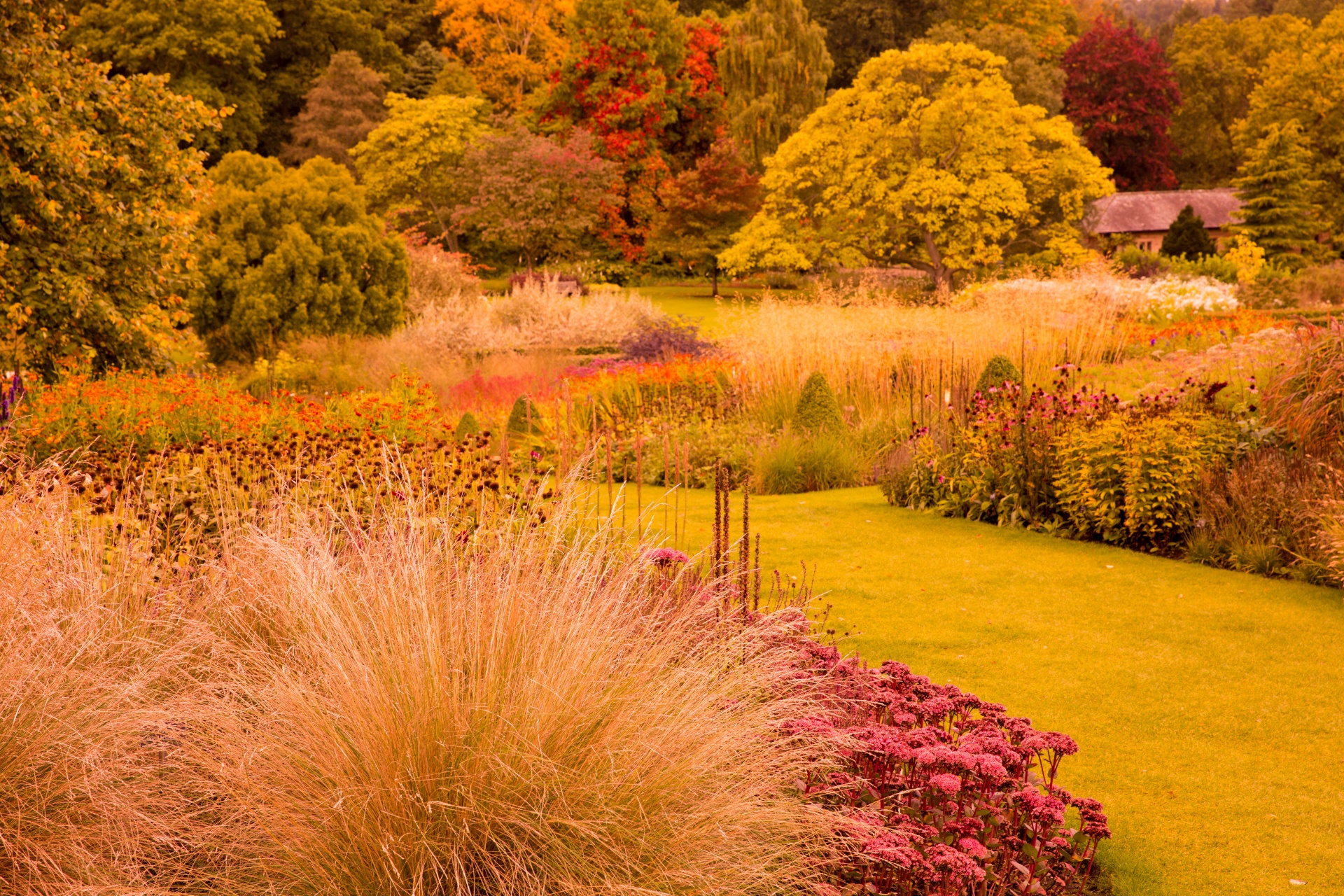 autumn beauty bright free photo