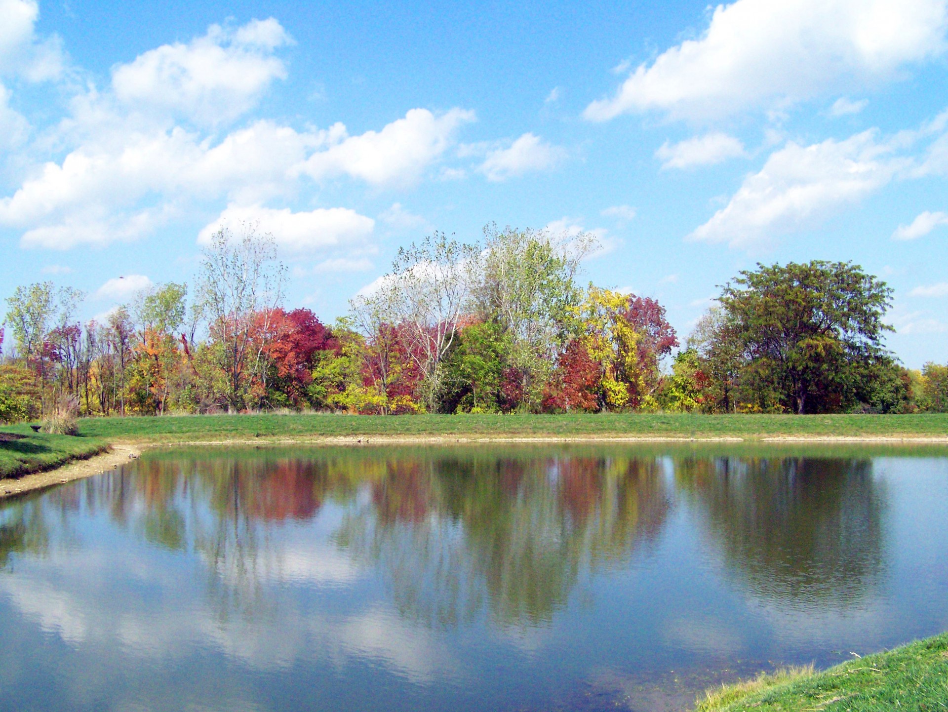 fall autumn leaves free photo