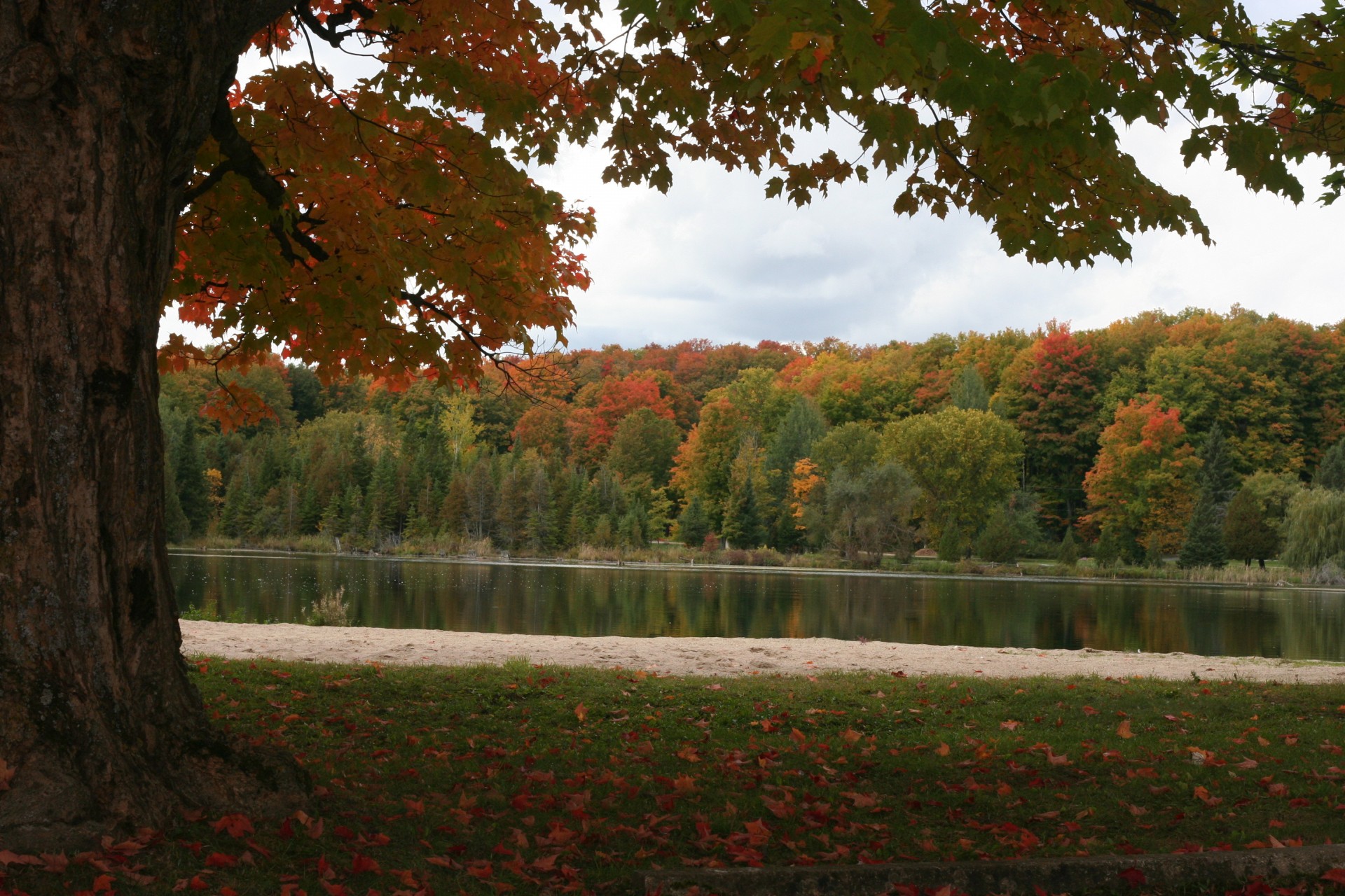 pond water autumn free photo