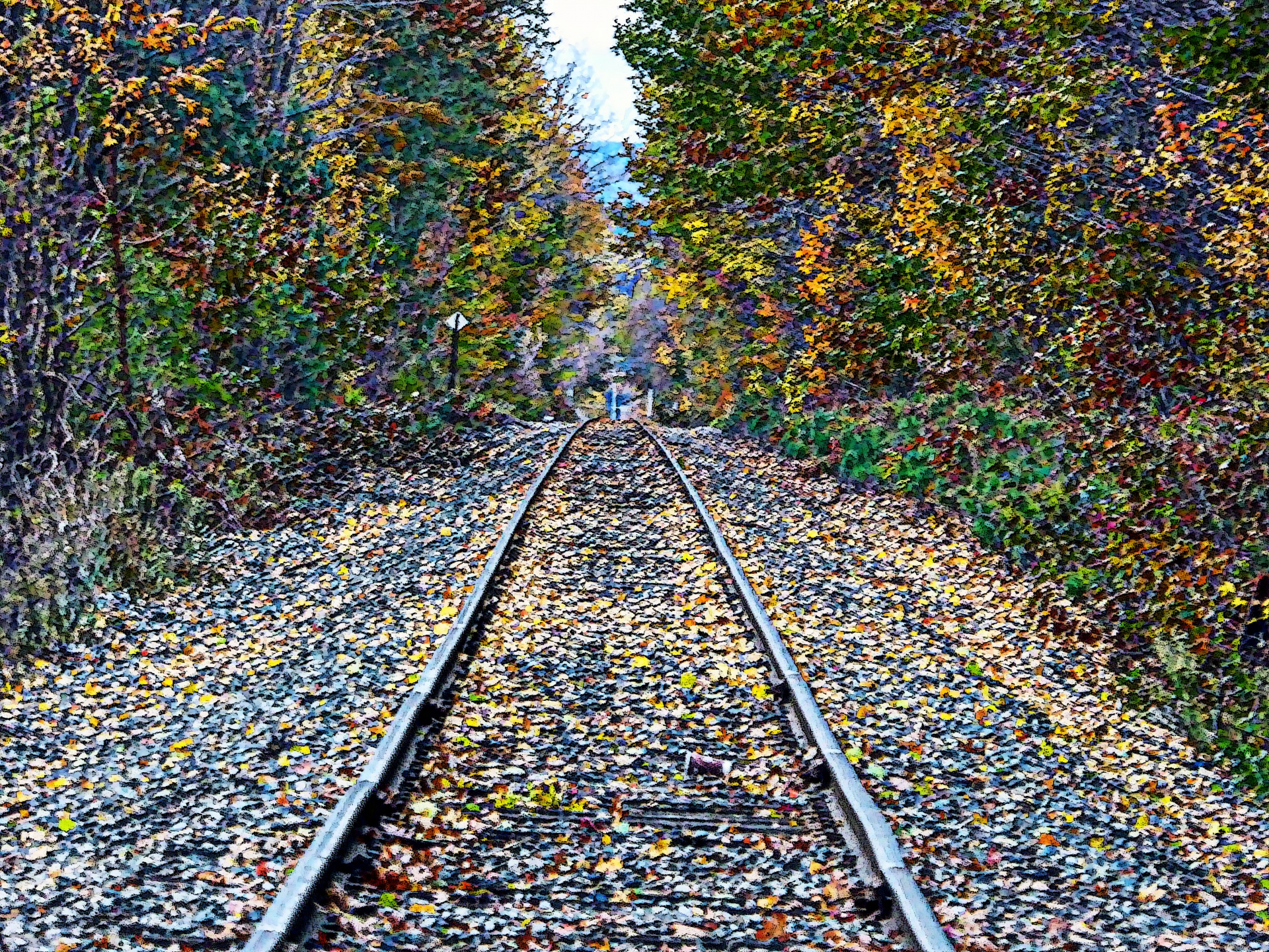 train tracks railroad tracks rail road tracks free photo