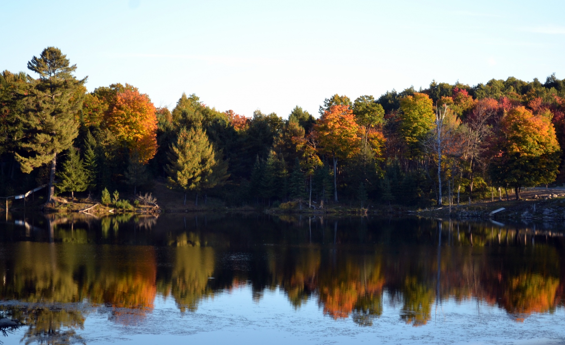 autumn nature water free photo