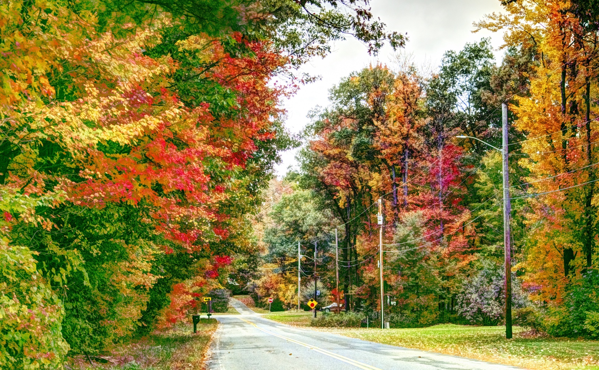 fall autumn foliage free photo