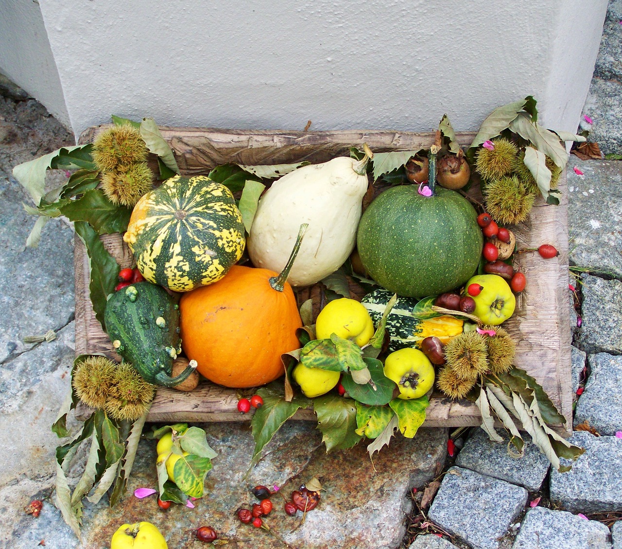 autumn scenery töktermés colorful pumpkins free photo