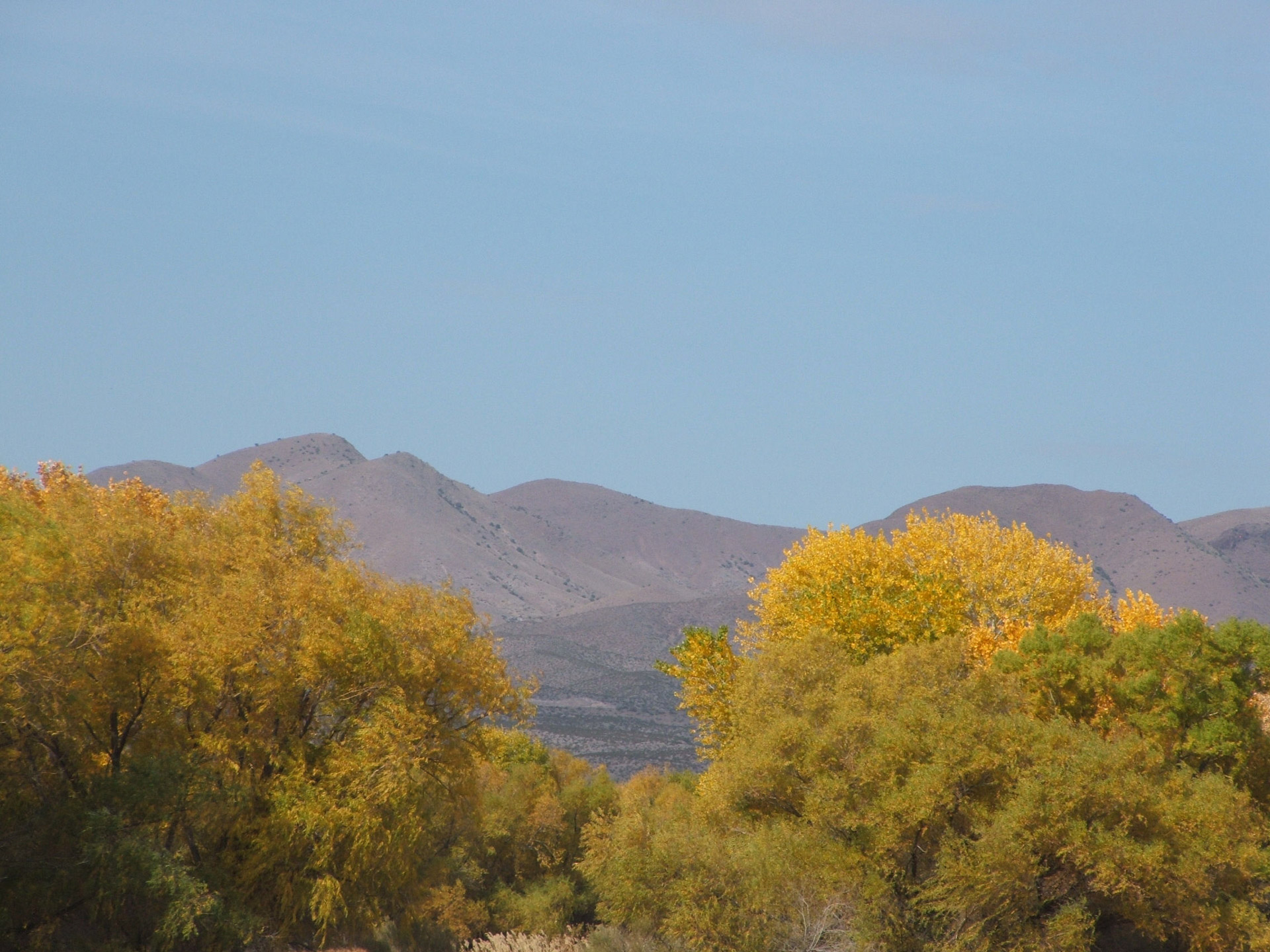 autumn desert bosque del apache free photo