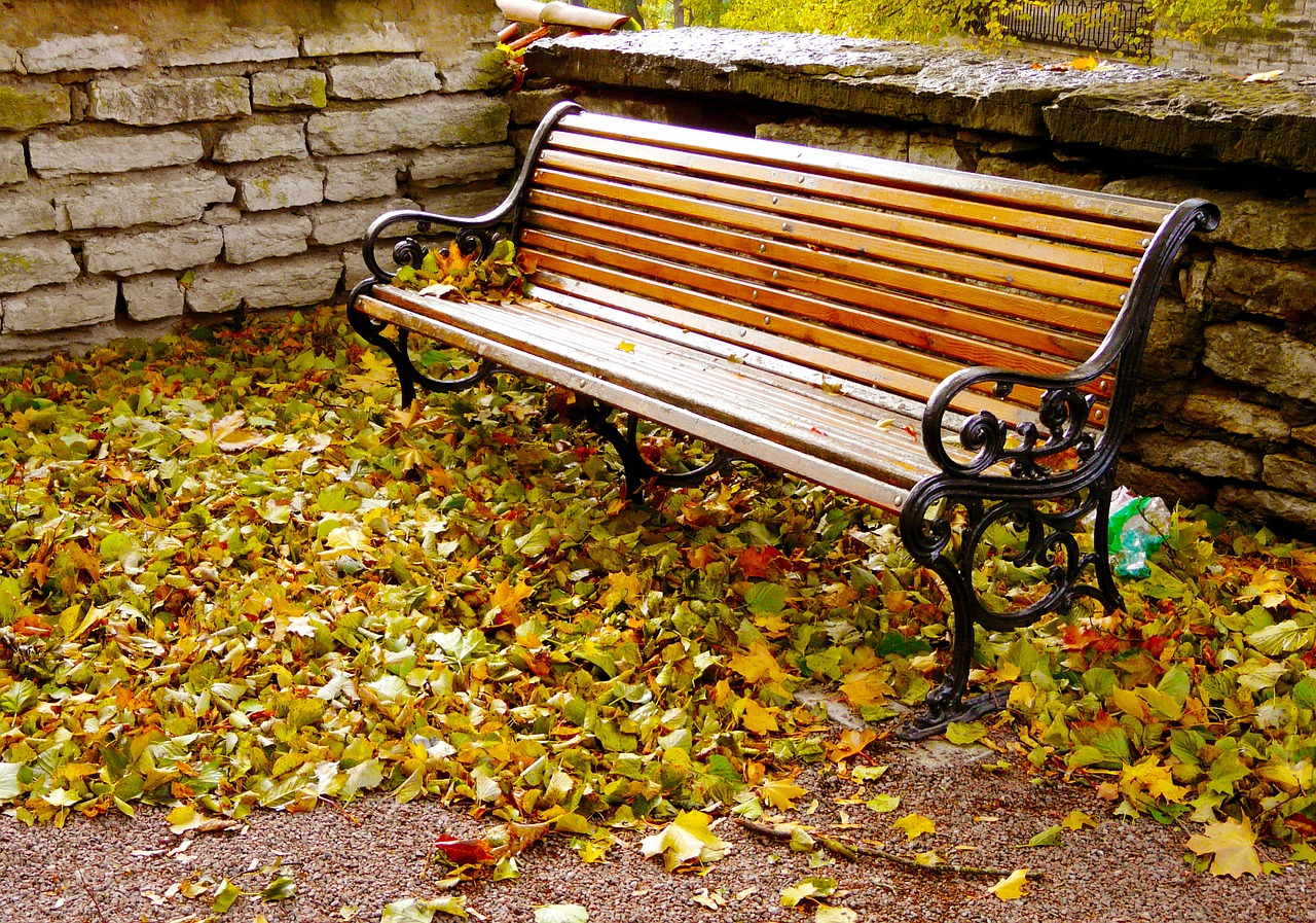 autumn season autumn park free photo