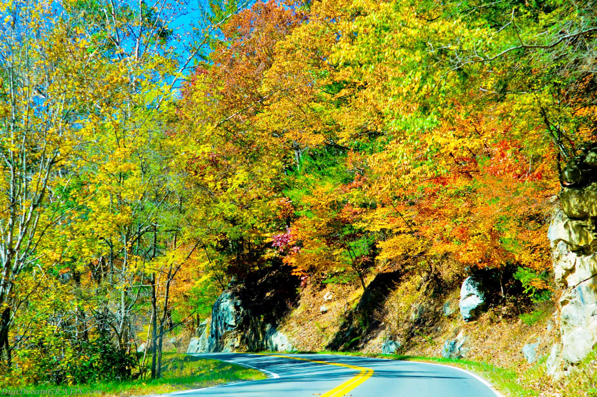 autumn season road free photo