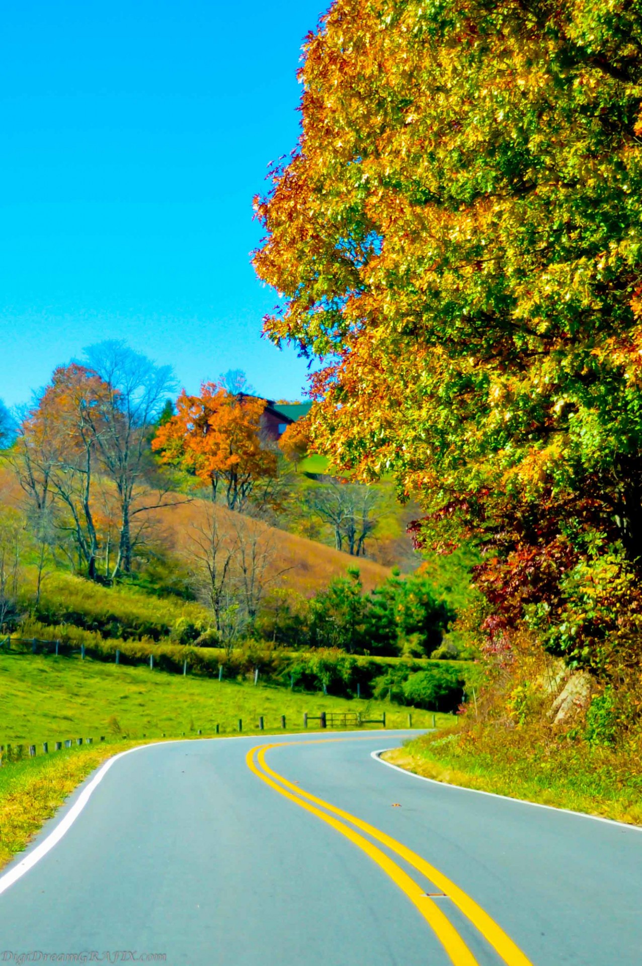 autumn season road free photo