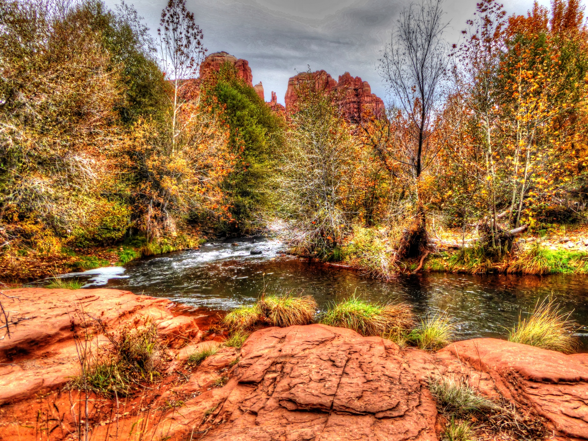 autumn fall leaves free photo