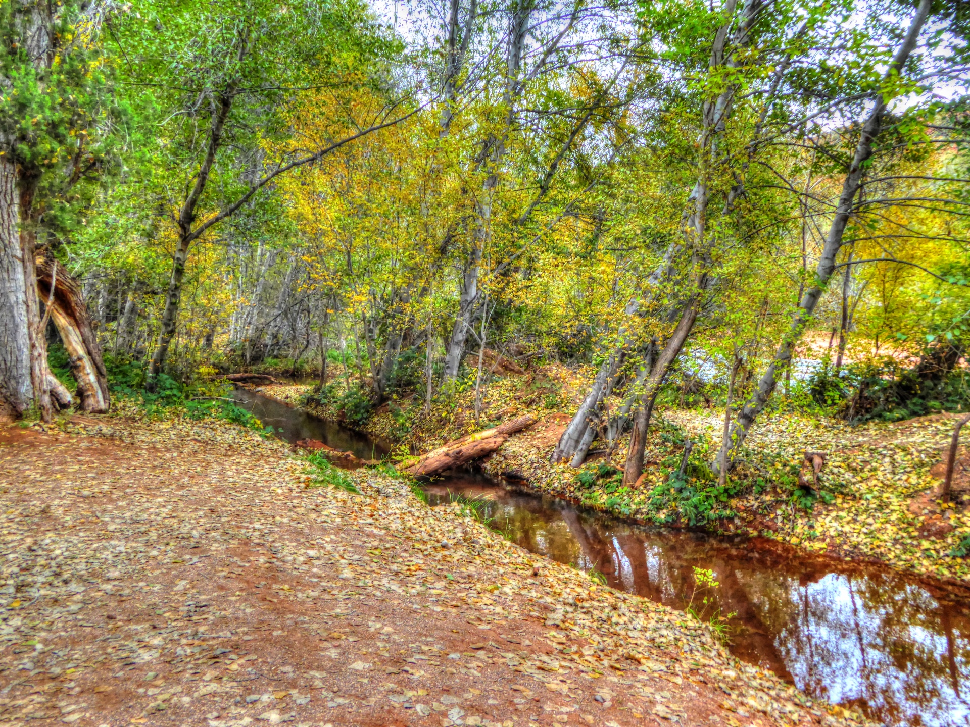 stream creek river free photo