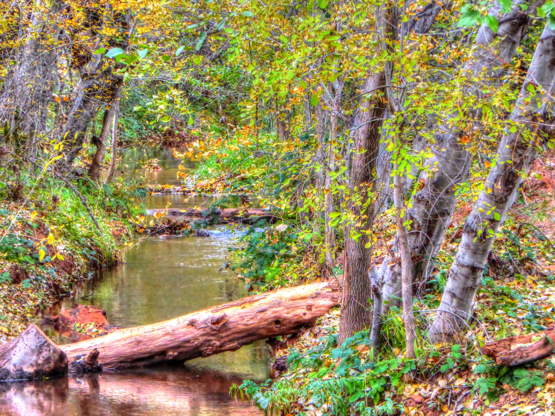 stream creek river free photo