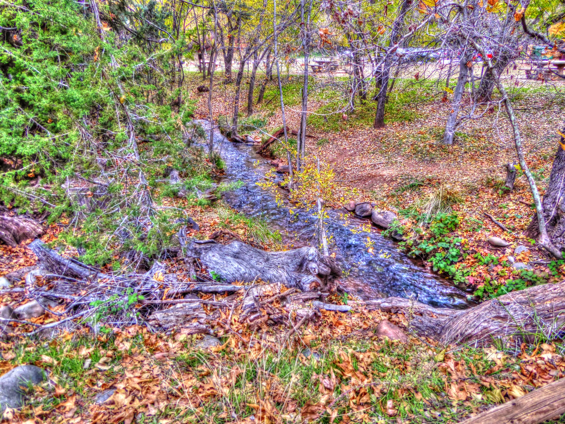 stream creek river free photo