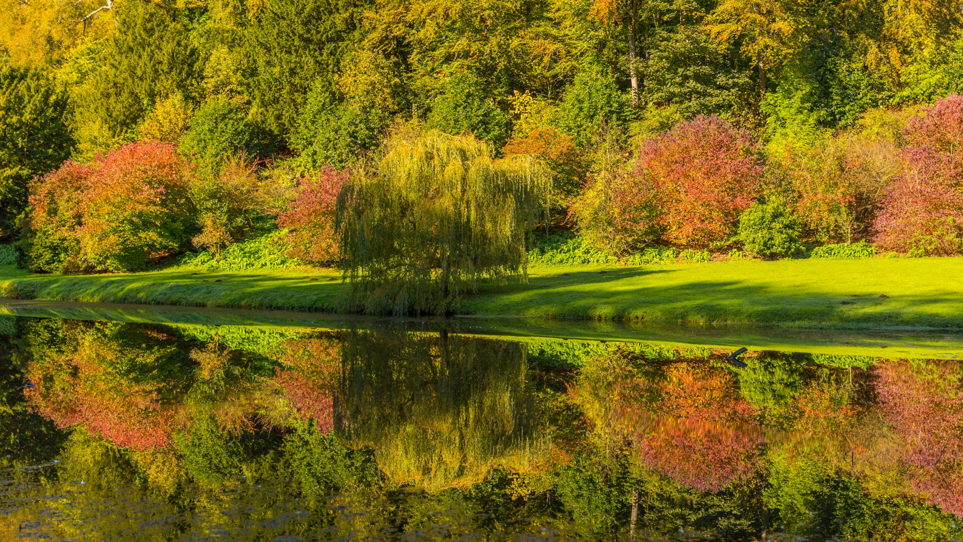 autumn bright colorful free photo