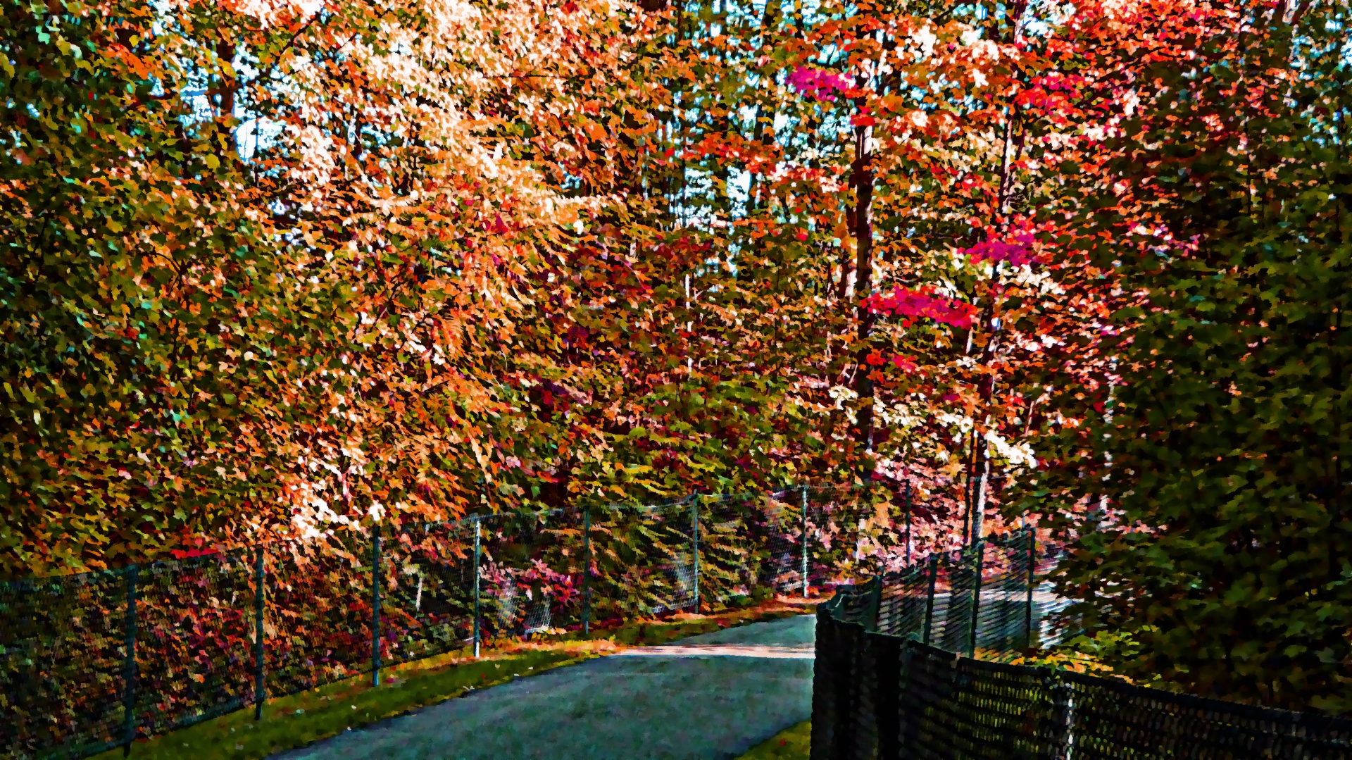 foliage fall vines free photo
