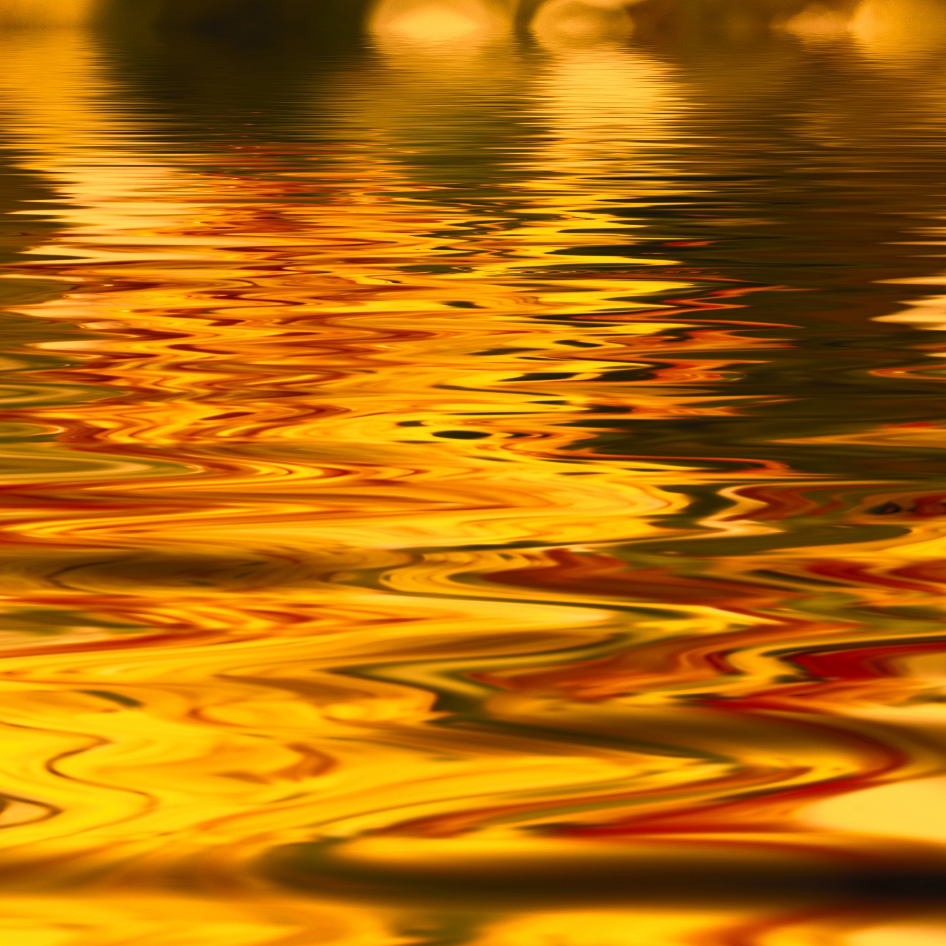 autumn water gold free photo