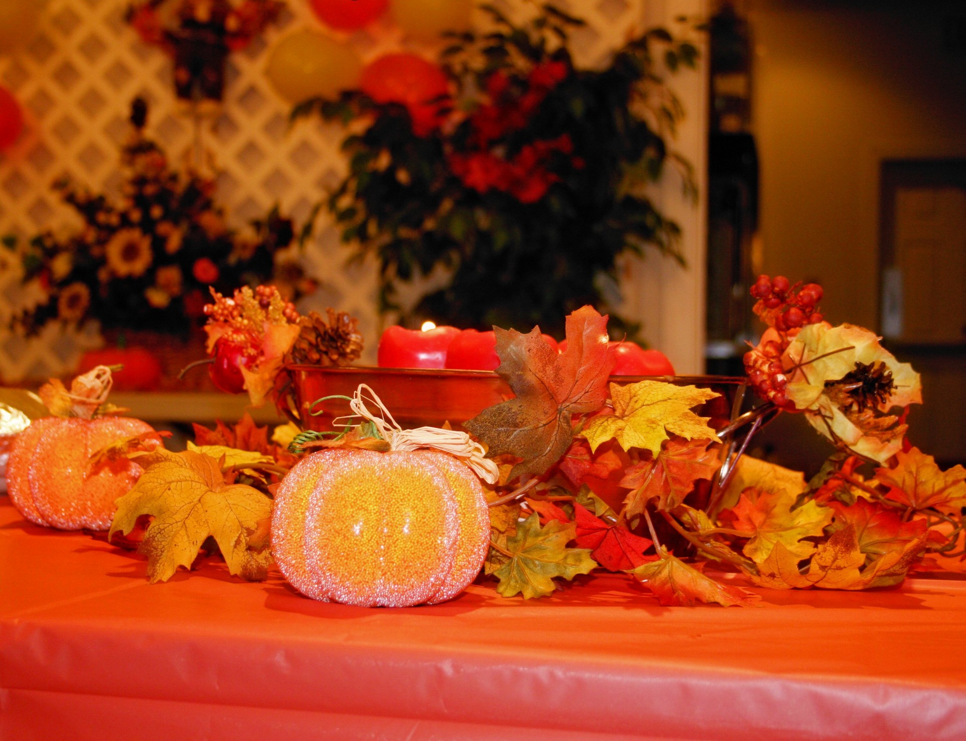 table pumpkin leaves free photo