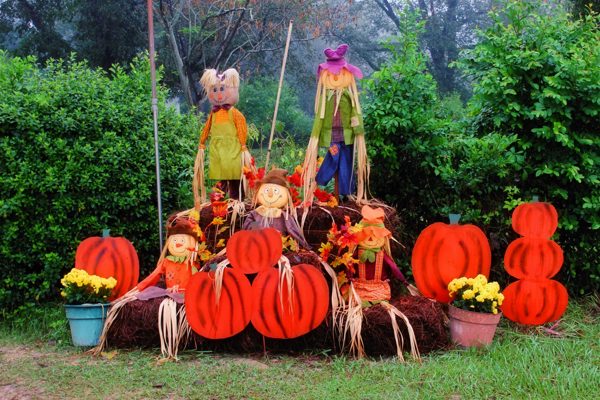 scarecrow pumpkin leaves free photo