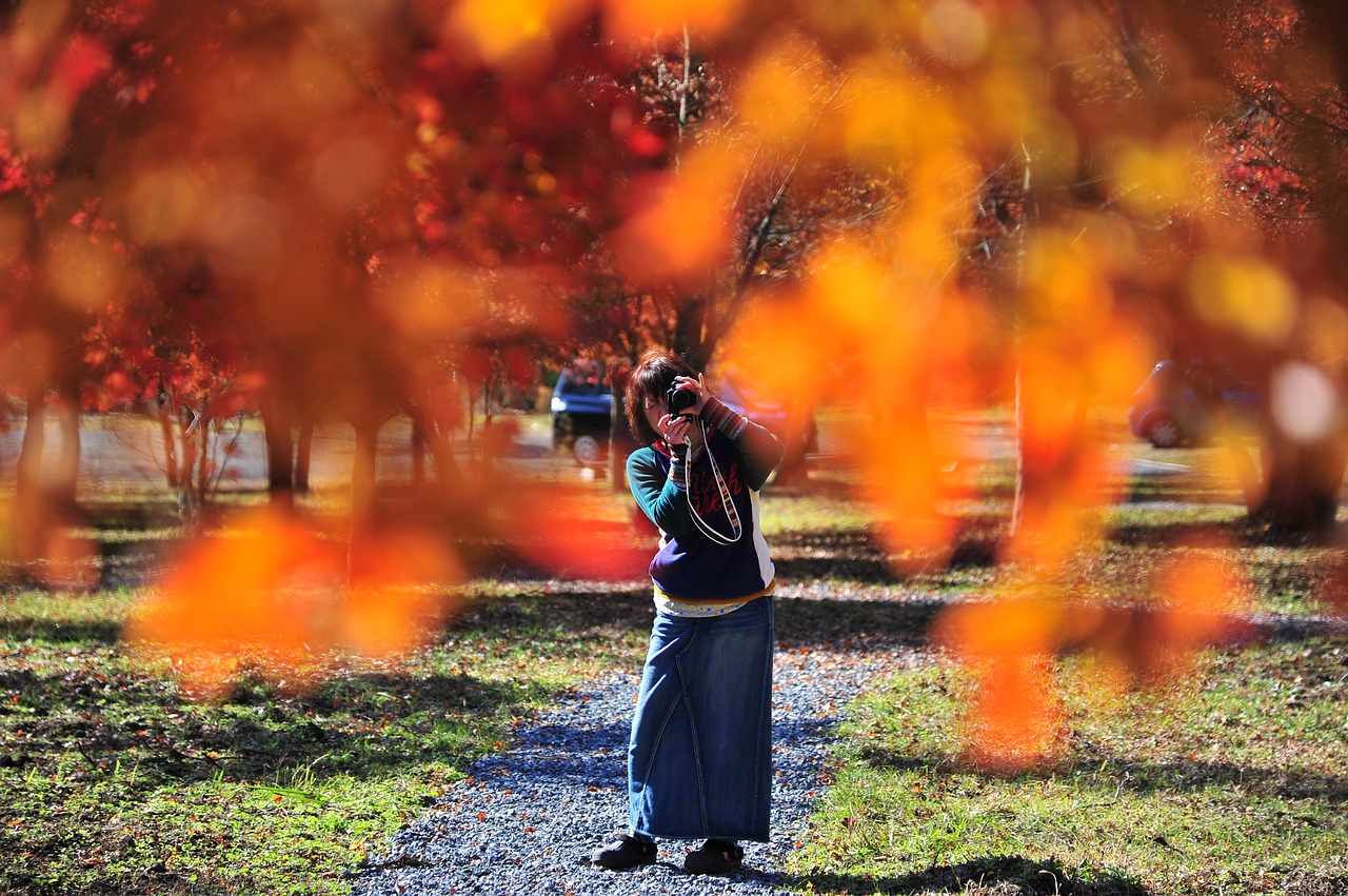 autumnal leaves photographer autumn free photo