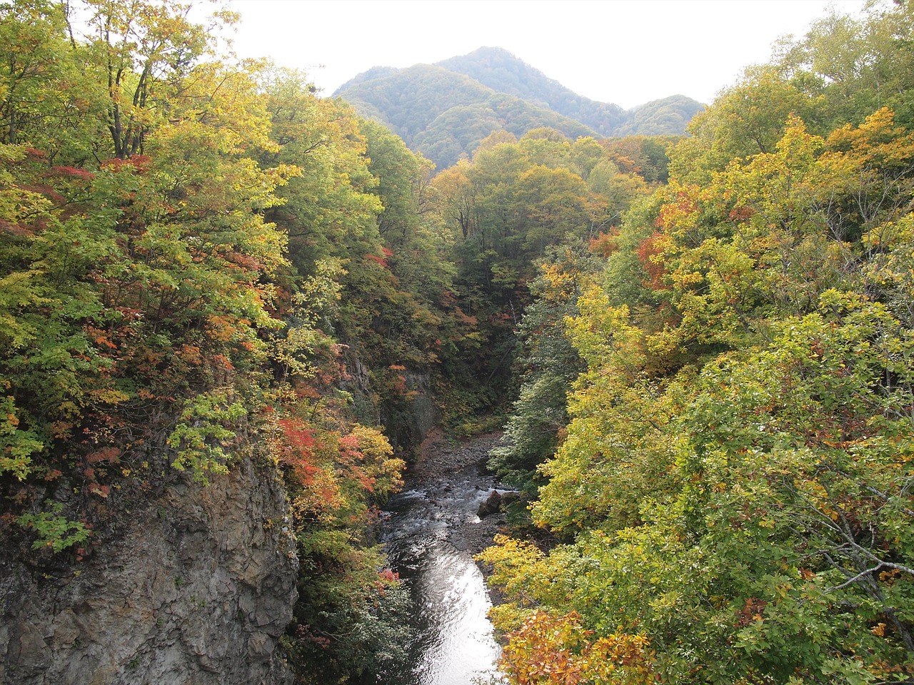 autumnal leaves valley landscape free photo