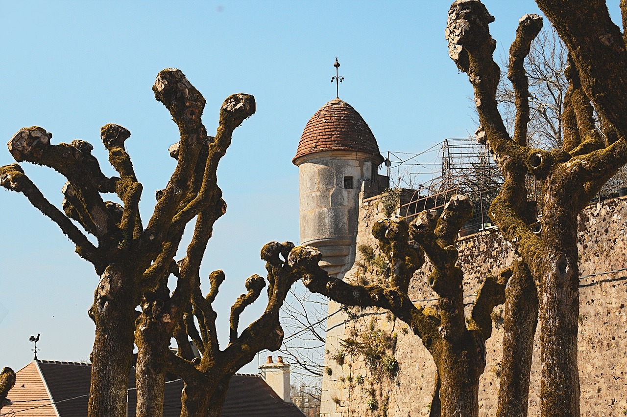 avallon yonne burgundy free photo