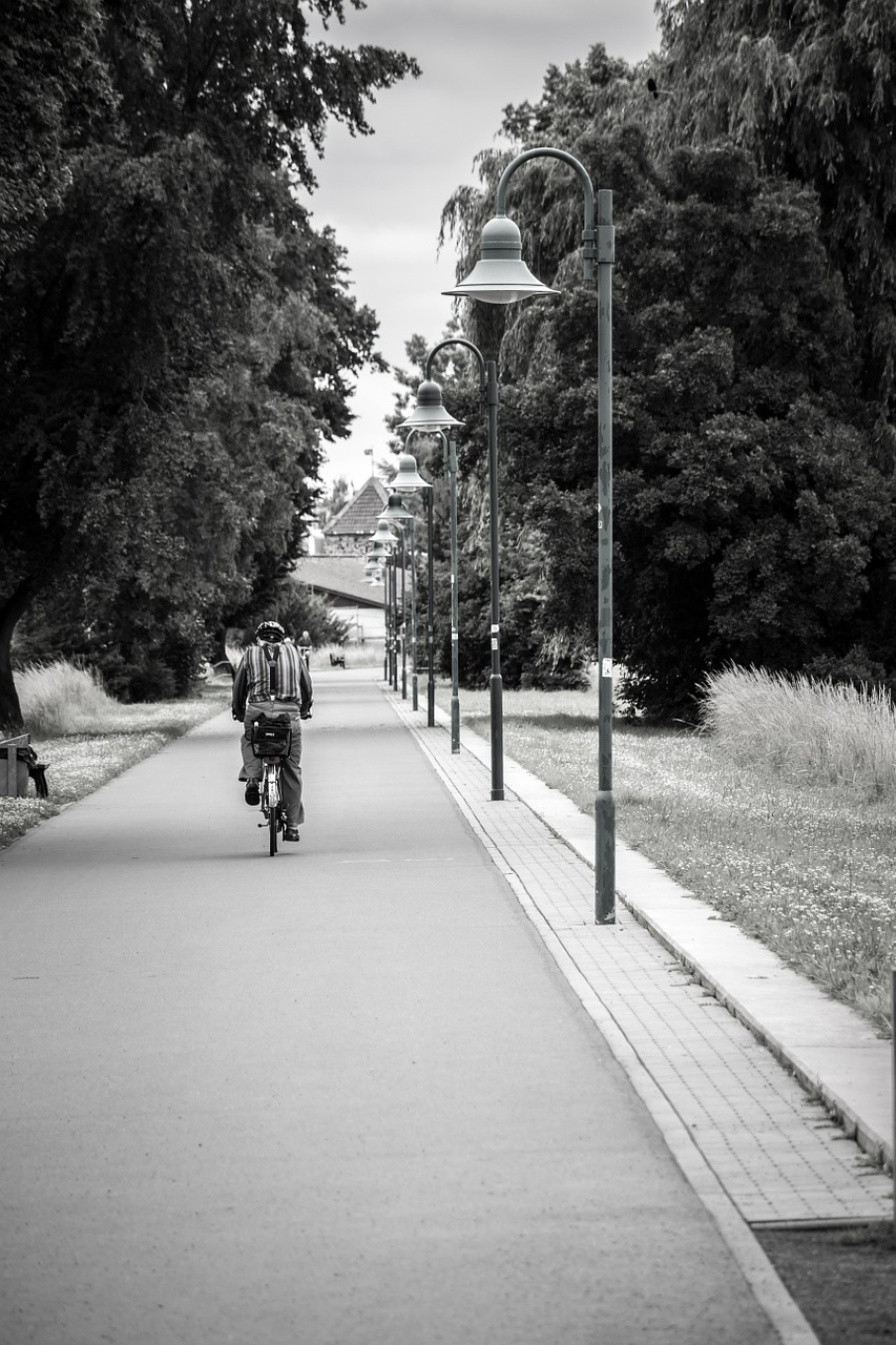 avenue lanterns cyclists free photo