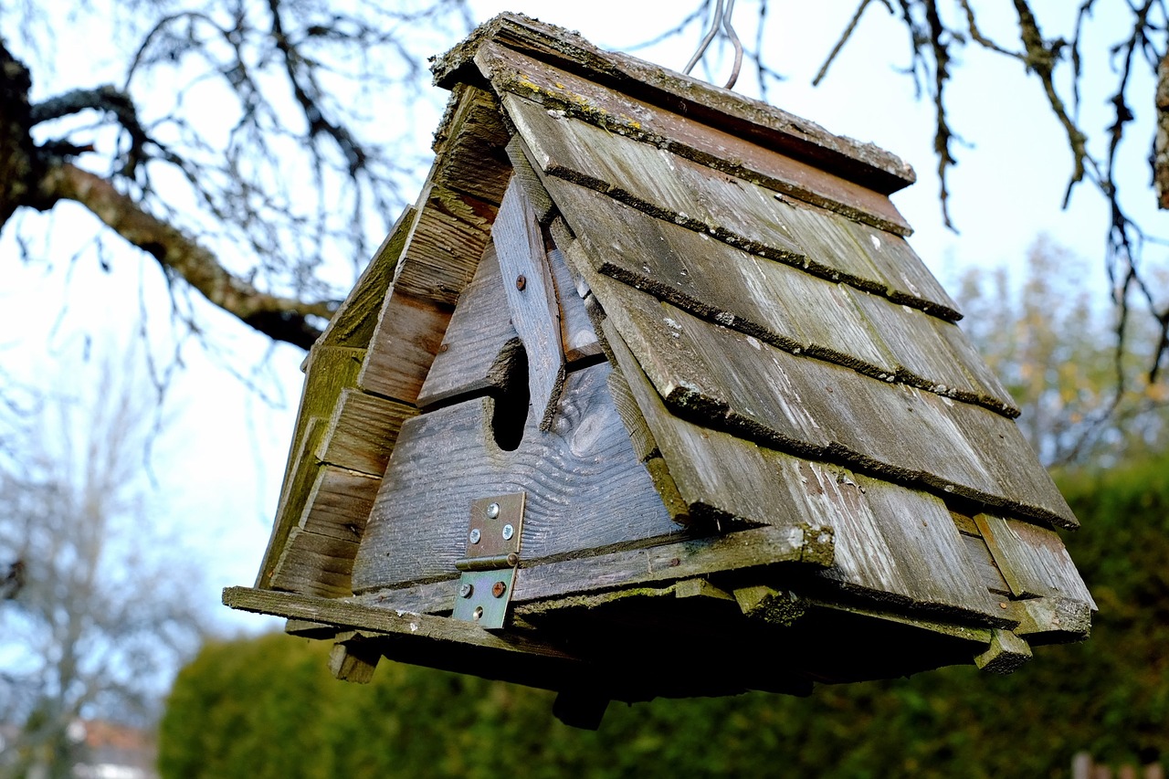 aviary feeding place vacation free photo