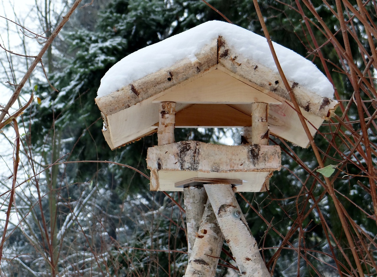 aviary forest winter free photo