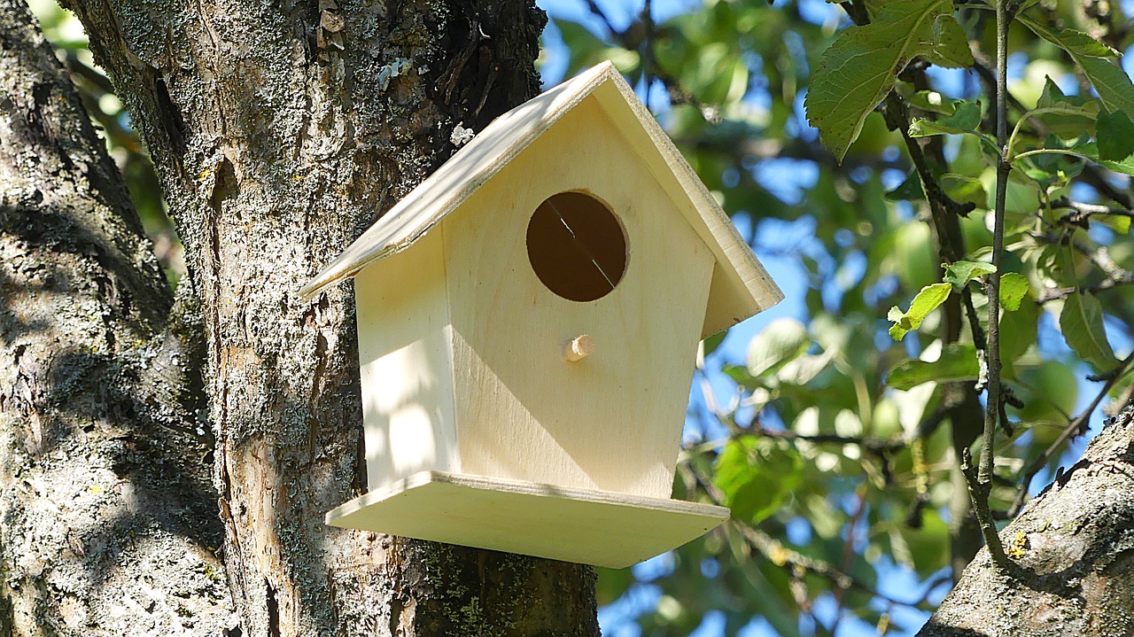 aviary bird's nest nesting place free photo