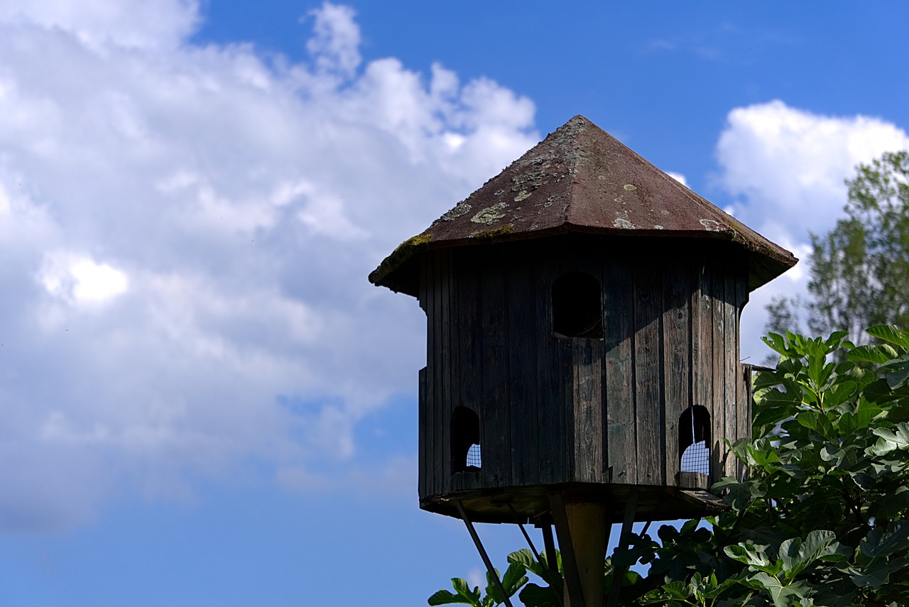 aviary pigeon house sky free photo